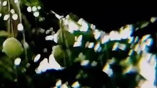 Heavy Rain for Deep Work &bull; Natural Background Sound for Maximum Productivity