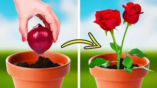 GEWELDIGE TUINTIPS EN KWEEK-HACKS VOOR PLANTENLIEFHEBBERS