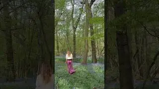 Bluebells - facts & folklore! 🪻💜 #plants #bluebells #nature #folklore #facts #flowers #travel