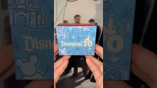 McDonald&rsquo;s Happy Meal Disneyland 70th Toys!