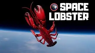 Space Lobster flight to 100,000 ft. via Weather Balloon