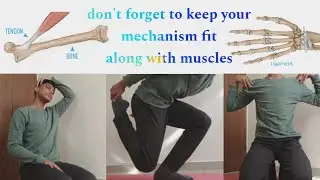 &ldquo;Body Mechanics Explained | Train Smarter, Move Better, Avoid Injuries&rdquo;