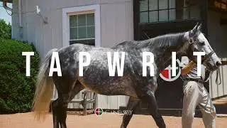 Gainesway - Tapwrit