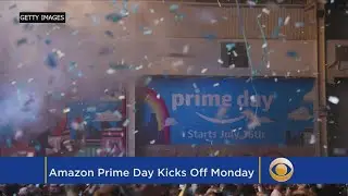 Amazon Prime Day Shopping Tips