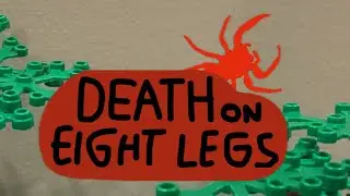 Death on Eight Legs: The Cape Recluse Spider