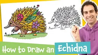 How to Draw an Echidna – Kids Drawing Lesson! (Easy)