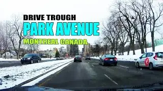 PARK  AVENUE STREET MONTREAL CANADA | RUE DE BLEURY | RUE SAINT PIERRE