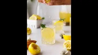 Starbucks Green Tea Lemonade Recipe