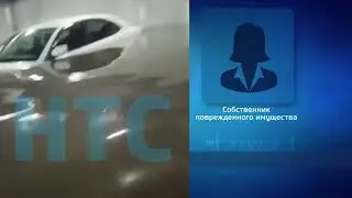 Потоп в стрижах