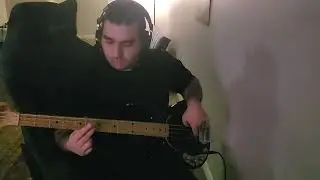 ABBA - The winner takes it all (Bass cover) 