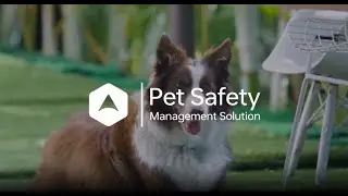 SEEWORLD | Smarter Pet Management Tracking Solution Starts Here!