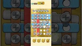 screw pin Puzzle Level 3