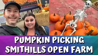 Pumpkin Picking | Smithills Open Farm | Bolton | October 2020