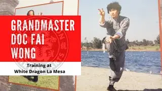 Grandmaster Doc Fai Wong | White Dragon La Mesa