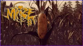 The True Facts About Corn - Maize #1
