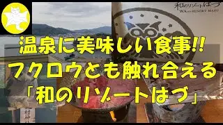 【宿レビュー、温泉】温泉に美味しい食事！！フクロウとも触れ合える「西浦温泉 和のリゾート はづ」（愛知県蒲郡市）