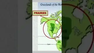 Temperate Grasslands of the World 🧑&zwj;🏫🧑&zwj;🎓 #grasslands #shortvideo