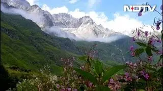 The Beauty And Heritage Of Valley Of Flowers National Park