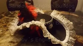 Halloween Disfraz Pirata * Enbellecimiento del sombrero y creacion de otros accesorios