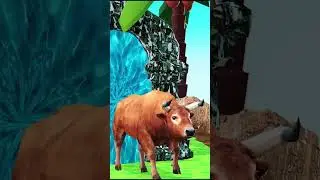 Long Slide Game With Cow Elephant Gorilla Hippopotamus Tiger - 3d Animal Game - Funny 3d Animals