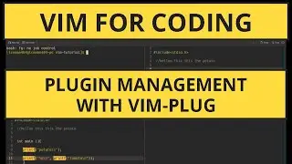 Mastering Vim: Plugin Management with Vim-Plug A Comprehensive Tutorial