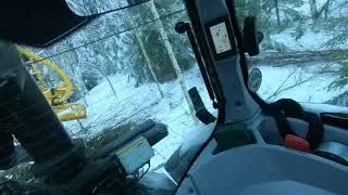 harjoittelua keto forst hakkuupäällä