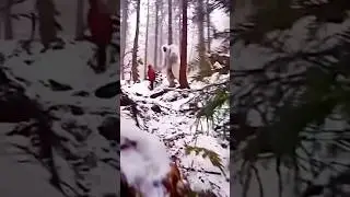 CUANDO TE ENCUENTRAS CON EL YETI
