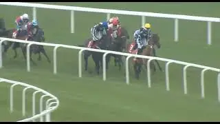 R2 в 12:55 ASCOT (22 ноября 2025 г.)