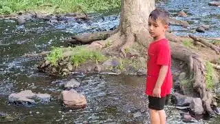 A Trip to the Beaver Brook Reservation