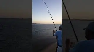 Yanbu - indo mancing mania