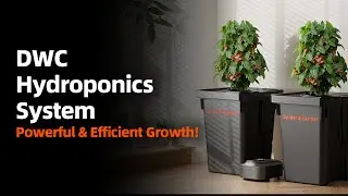 Spider Farmer DWC Hydroponics System &ndash; Smarter, Stronger, Better | New