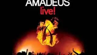 Amadeus Band - Motori