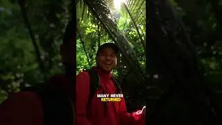 Jungle lost story untold: horror short video #shorts #scary #scaryvideo #ghoststories #creepystorie