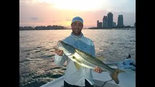 Miami Tarpon Fishing | Summer Snook and Max's Redemtion Tarpon Fly and Fish Tv