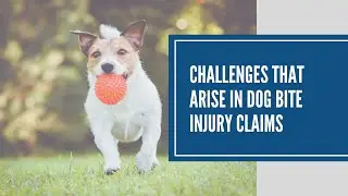 Challenges in Dog Bite Injury Claims | San Bernardino Injury Attorney