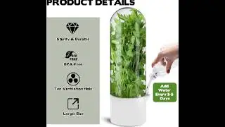3 Pack Herb Saver for Refrigerator Large Fresh Herb Keeper Cilantro Container