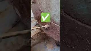 Bolt Removing Idea 💡 #shorts #technical #cutting #bolt