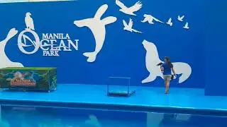 All Star Bird Show | Manila Ocean Park - January 31, 2024