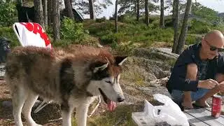 Kano og overnatting i Farrisvannet