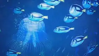 AquaGenesis: Beneath the Waves Unveiled