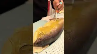 Turning Fish Into Art 🐠
