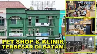 Ini Petshop & Klinik Hewan Terbesar Di Kota Batam - Royale Petshop & Care Batam