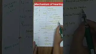Mechanism of hearing l Auditory pathway l #earphysiology #specialsenses #shorts