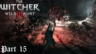 The Witcher 3: Wild Hunt: Part 15: Wolves and Wings [W3EE Redux][Blind]