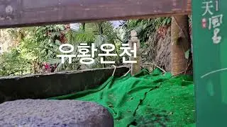 대만 & 라틴댄스