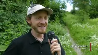 Ettiswil Naturlehrgebiet Heimatvereinigung mit k&ouml;stlichem Scharf Senf