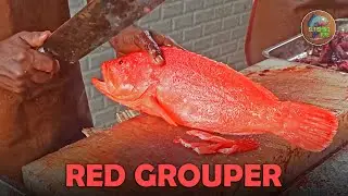 Amazing Red Grouper | Satisfactory Fish Cutting Skills🔥