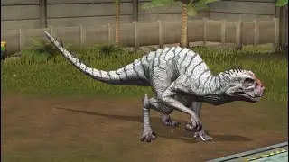 Scorpius Rex solos