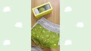 Kit com 3 Cuequinhas Boxer Porco Espinho Verde
