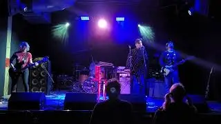 Phantomelo - December 13, 2023 - Tulips - Ft. Worth, Texas